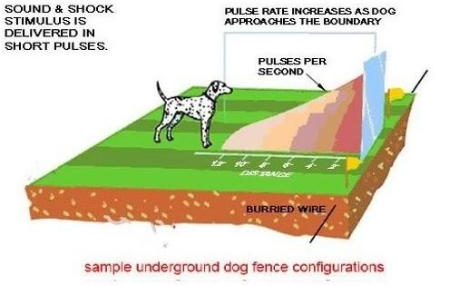 Pet Safe Dog Safety Electronic Fence In Ground Fencing System Training Collar